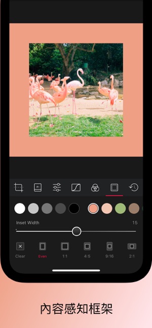 Darkroom – Photo Editor(圖8)-速報App