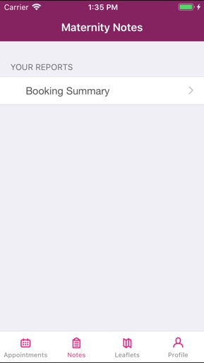 Badger Notes screenshot