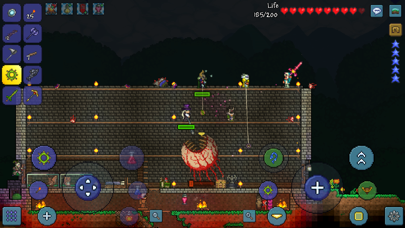 Terraria Screenshot 5