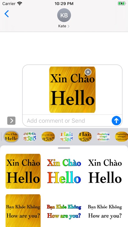 Vietnamese English