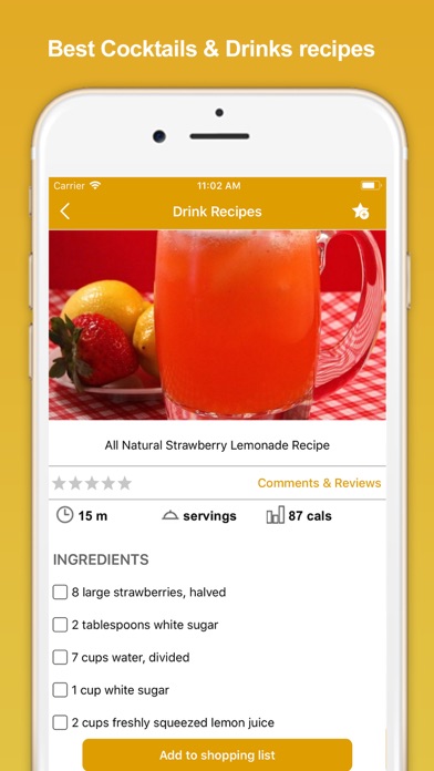 Drinks Recipes - Fruit Juice screenshot 4