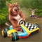 Animal Kart racing offer you a versatile gaming experience you never had before