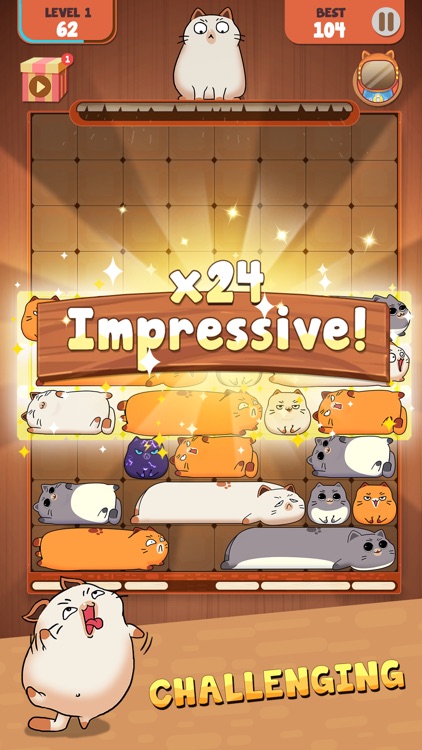 Haru Cats: Slide Block Puzzle screenshot-4