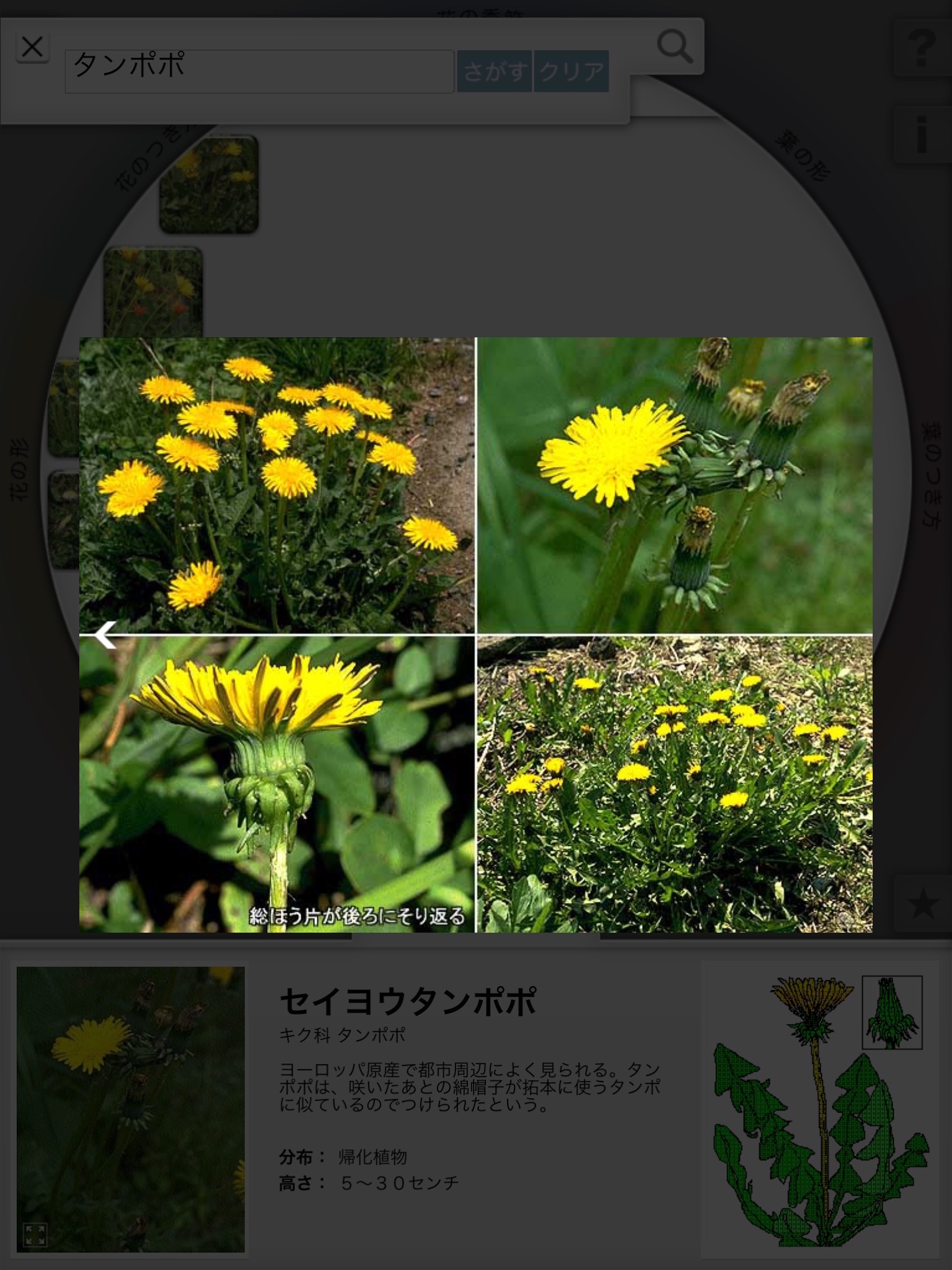 リング図鑑 《植物》 screenshot 3