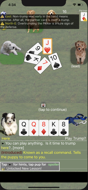 K9 Sheepshead: Schafkopf Cards(圖4)-速報App