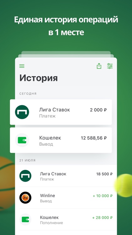 Кошелек ЦУПИС – 9 БК в 1 месте screenshot-3