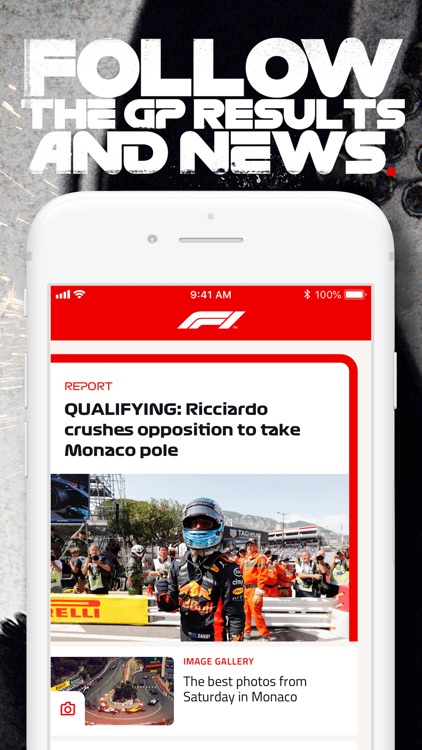 Formula 1® screenshot-3