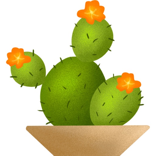 Cactus And Flowers