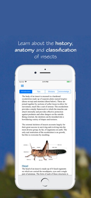 eInsects of South Africa(圖5)-速報App