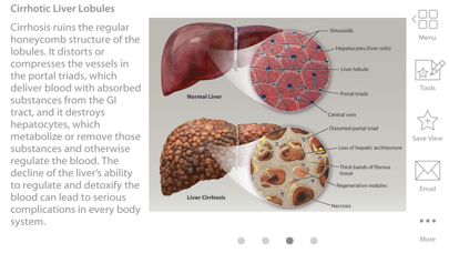Physiology & Pathology