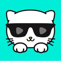 Kitty Live -#1 Live Video Chat