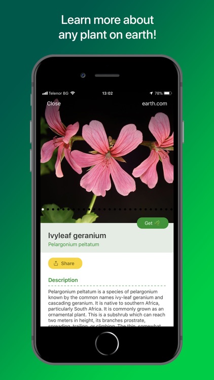 PlantSnap Plant Identification screenshot-3