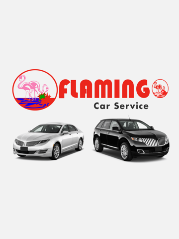 Скриншот из Flamingo Car and Limo Service