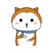 Rich and funny kitten expression pack, come and use it