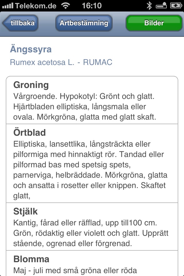 Ogräsbestämning screenshot 4