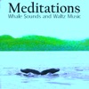 Meditations Whales Waltz Music