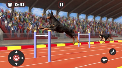 Greyhound Dog Racing Derby screenshot 2
