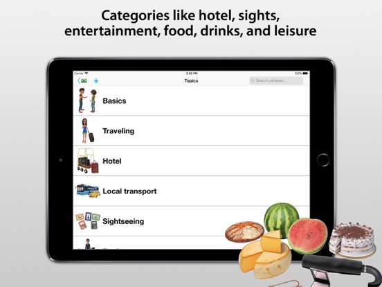 Travel Interpreter Phrasebook screenshot 4