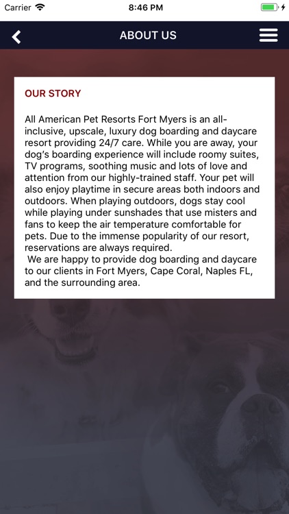 All American Pet Resort screenshot-9