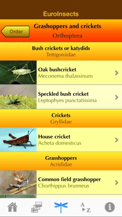 How to cancel & delete EuroInsects from iphone & ipad 3