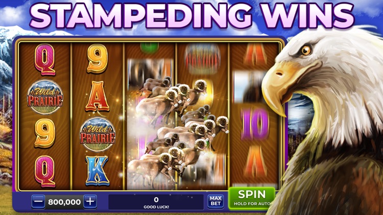 Star Spins Slots: Casino Games screenshot-5