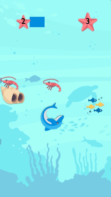 Your Friendly Dolphin