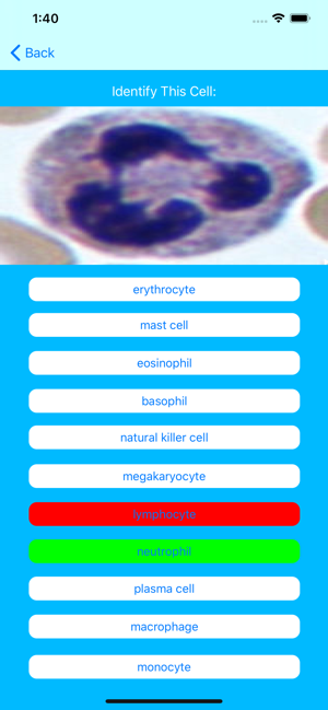 Immune Cells Tutor