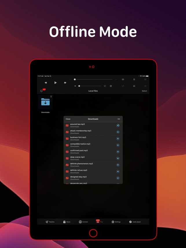 Evermusic Pro Offline Music On The App Store