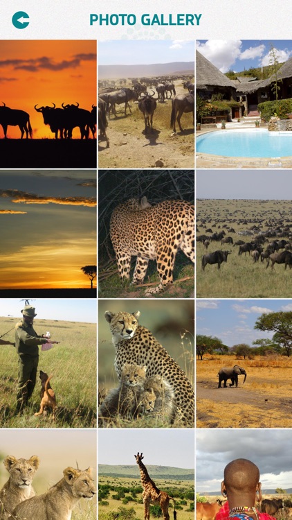 Masai Mara National Reserve screenshot-3