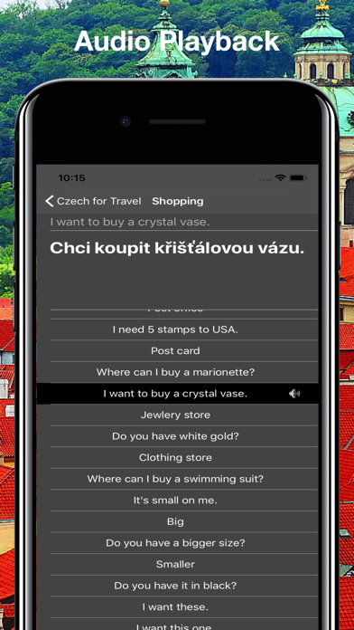 Czech for Travel screenshot 3