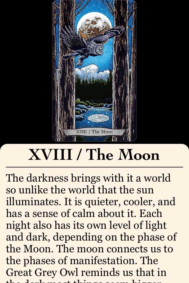 Animal Totem Tarot screenshot 4