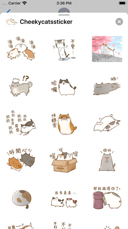 Cheeky cats sticker screenshot-3