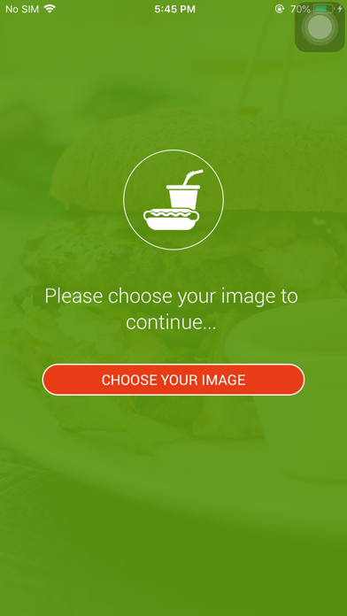 Smart Food Identifier screenshot 2