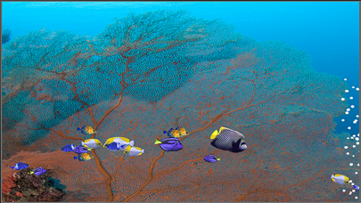 Screenshot #2 pour Fishies