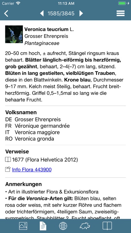 Flora Helvetica Mini deutsch screenshot-3