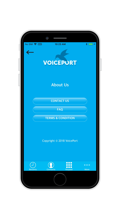 VoicePort screenshot 4