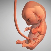 Idle 9 Months pour PC