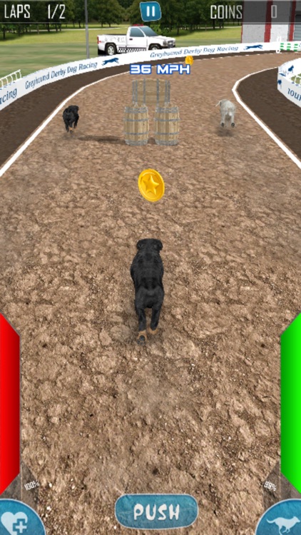 Dog Racing Simulator 2020