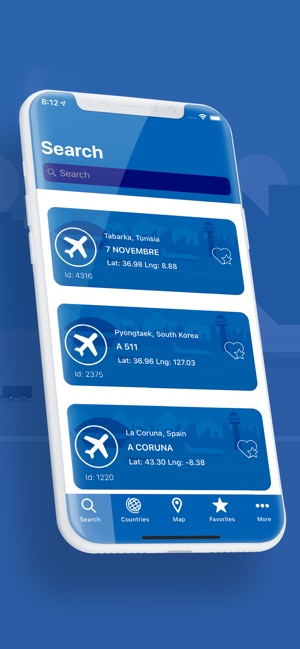 Aviation: Airport's Overview