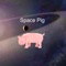 In this fun space adventure game, you play a pig who flies through space