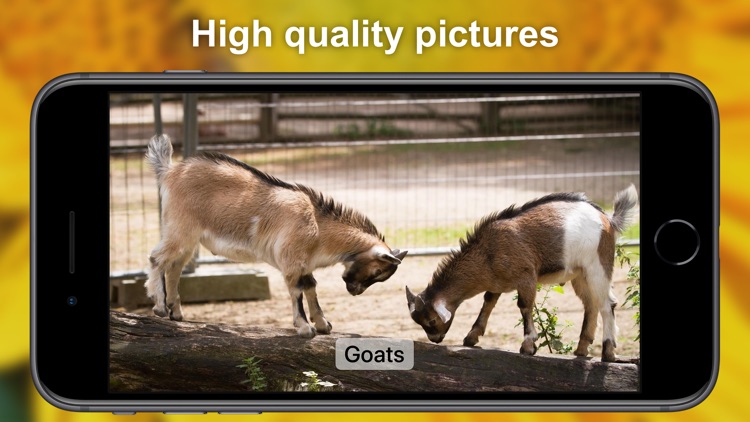 Sound App for Kids screenshot-4