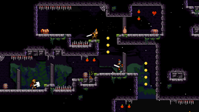 Screenshot from Apple Knight
