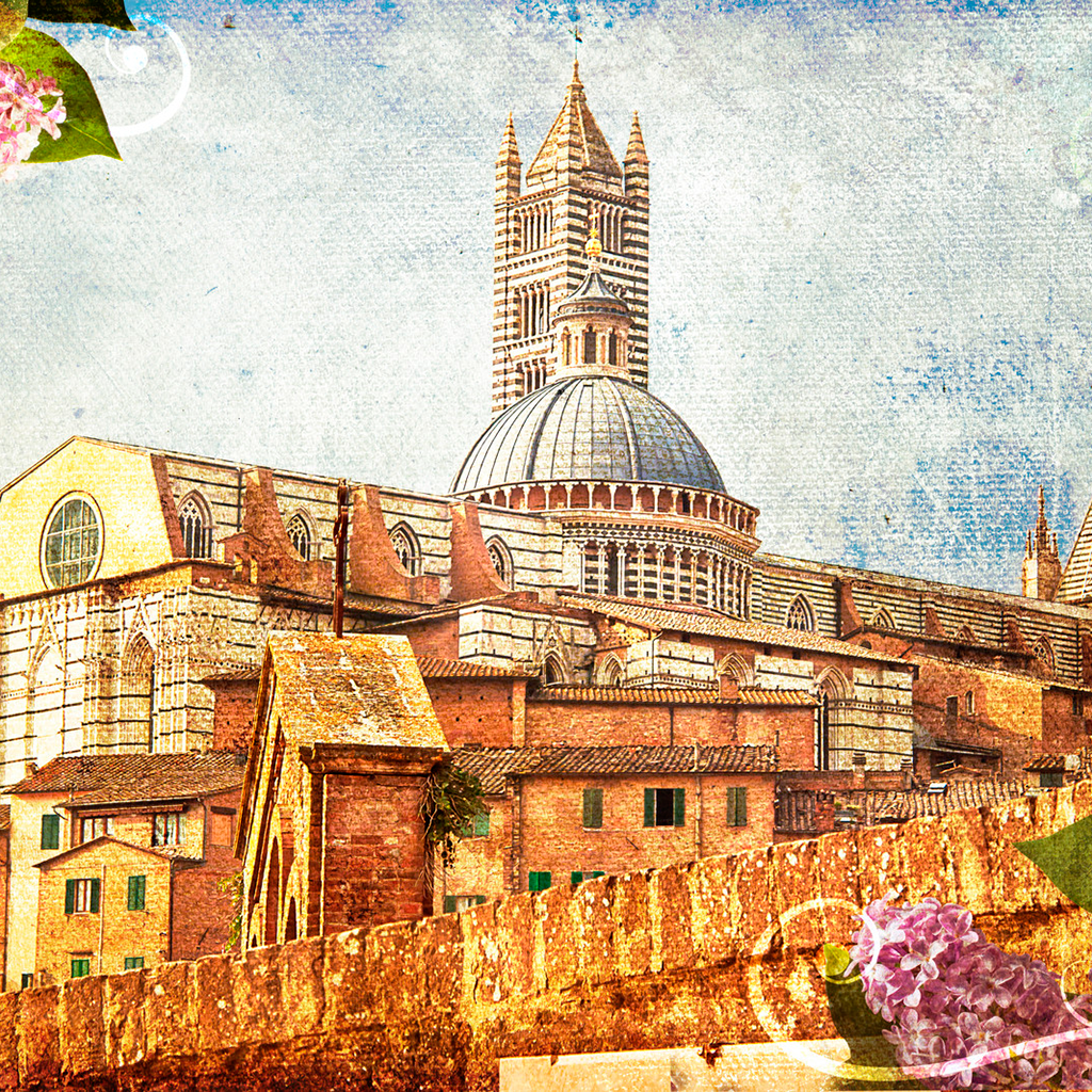 Get Siena 2020 — offline map for iOS, iPhone, iPad Aso Report