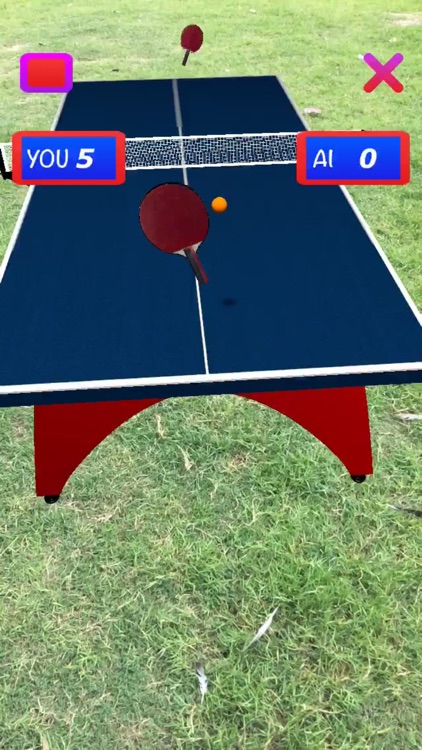 Table Tennis AR