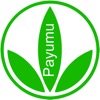 Payumu