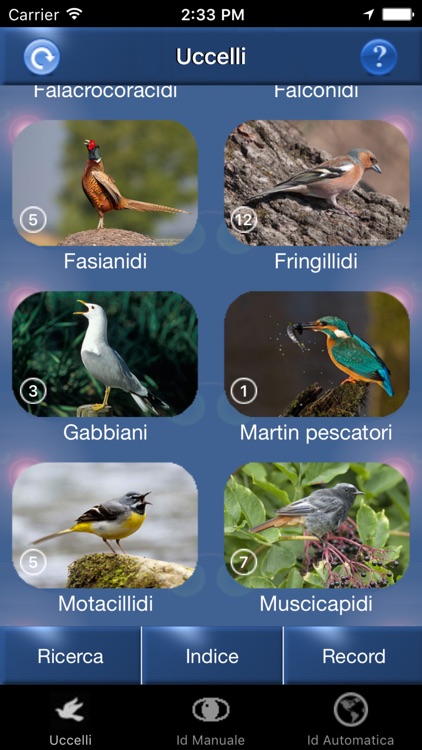 Canzoni d'uccelli