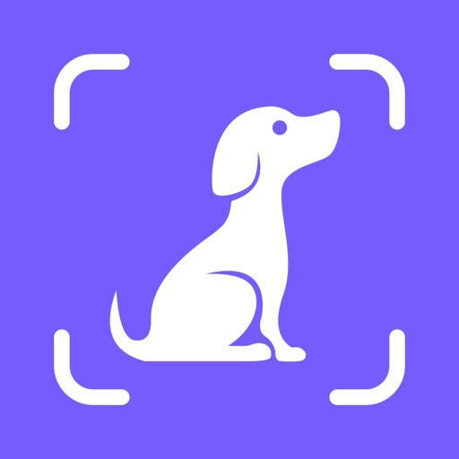 Dog Pal - L'ami Du Chien