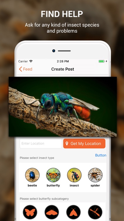 Insect identifier by photo screenshot-3