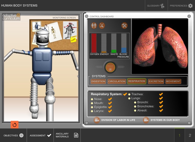 Systems in the Human Body