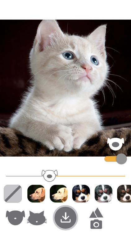 PetEasy - Dog Cat Pet Filter screenshot-4